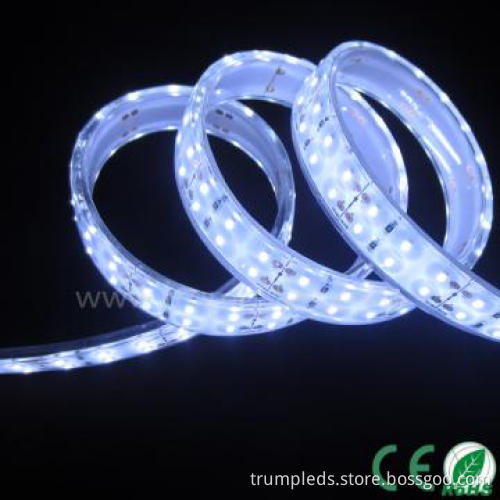 Double row smd led flexible strips 3014